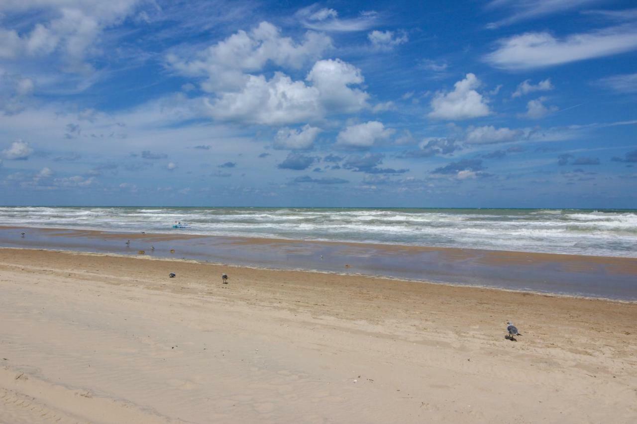 Palm Tree Escape Lägenhet South Padre Island Exteriör bild